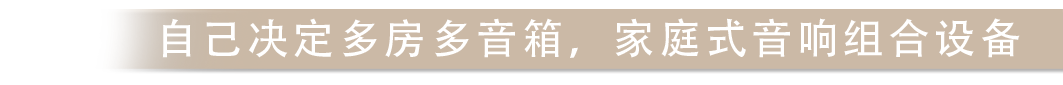 自己决定多房多音箱，家庭式音响组合设备
